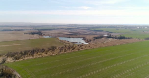 Campo agrícola cénico e floresta contra céu — Vídeo de Stock