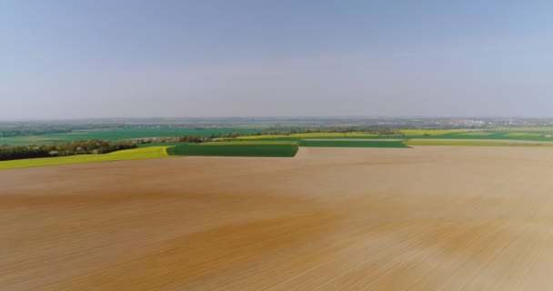 Campi con vari tipi di agricoltura 4K — Video Stock