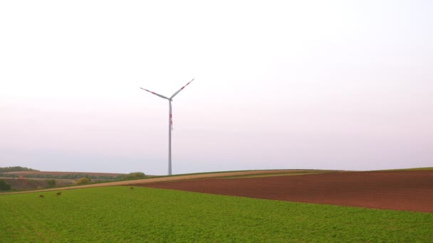 Wiev aéreo de moinhos de vento fazenda. Produção de energia elétrica — Vídeo de Stock