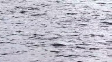 Su yüzeyini kapatın, su yüzeyini görün..