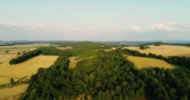 Hava manzaralı gün doğumu, Ormanın üzerinde gün batımı