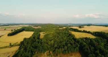 Hava manzaralı gün doğumu, Ormanın üzerinde gün batımı