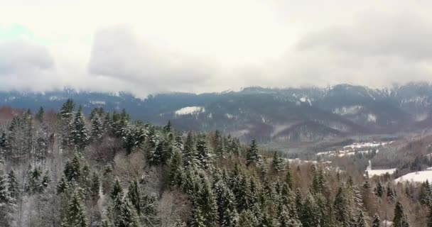 高山白雪覆盖森林的空中景观 — 图库视频影像