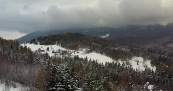 Wald mit Schnee Luftbild bedeckt. Luftaufnahme eines Dorfes in den Bergen — Stockvideo