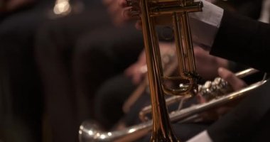 Konserde trompet çalan müzisyen