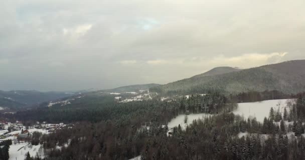 Las pokryty śnieżnym widokiem z powietrza. Widok z lotu ptaka na wieś w górach — Wideo stockowe
