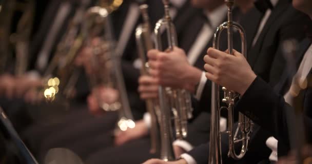 Musician playing trumpet at concert — Stock Video