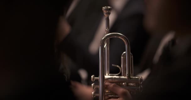 Músico tocando trompeta en concierto — Vídeos de Stock