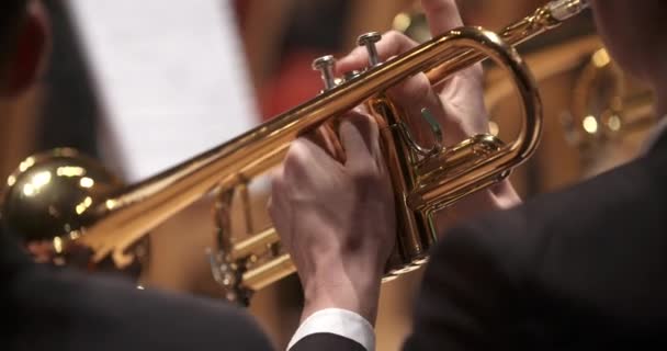 Músico tocando trompeta en concierto — Vídeo de stock