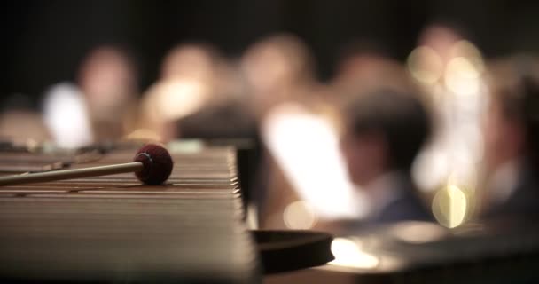 Instrumento musical Dulcimer durante o concerto — Vídeo de Stock