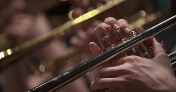 Музыкант играет на трубе на концерте — стоковое видео