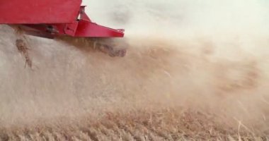 Çiftlikteki hasat makinesinin yakın plan görüntüsü.