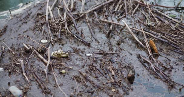 Stokken en afval drijvend op het meer — Stockvideo