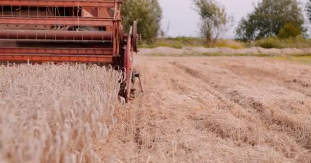 Κοντινό πλάνο της συγκομιδής συνδυάζουν σε αγρό στην εκμετάλλευση — Αρχείο Βίντεο