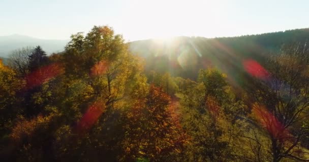 Αεροφωτογραφία ανατολή του ηλίου, ηλιοβασίλεμα πάνω από το δάσος — Αρχείο Βίντεο