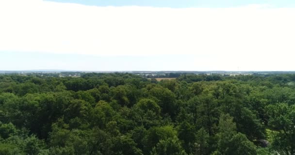 Latanie nad drzewami leśnymi. Natura - Widoki z powietrza — Wideo stockowe