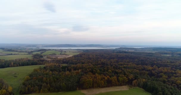 Fliegen über Wald. Wald von oben — Stockvideo