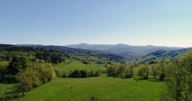 Ormanın havadan görünüşü