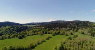 Ormanın havadan görünüşü