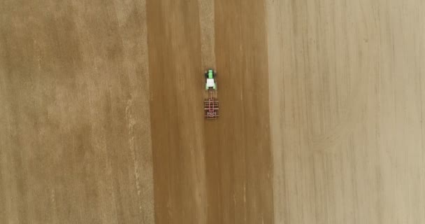 Campo de cultivo antes de plantar trigo fundo OGM. — Vídeo de Stock