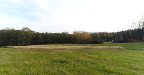 Fliegen über Wald. Wald von oben — Stockvideo