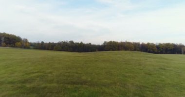 Ormanın Üzerinde Uçmak. Yukarıdan Orman