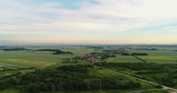 Letecký pohled na les — Stock video