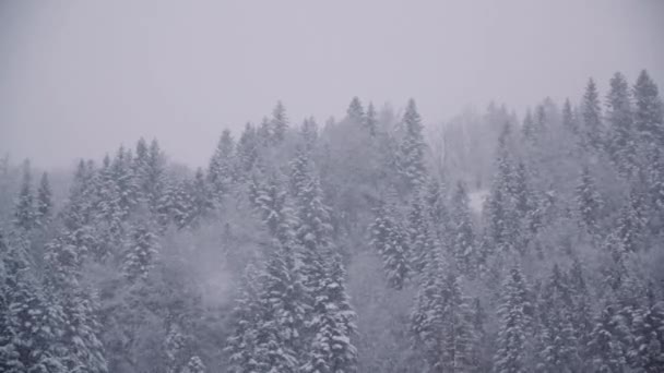 Flocos de neve contra árvores cobertas de neve em montanhas — Vídeo de Stock