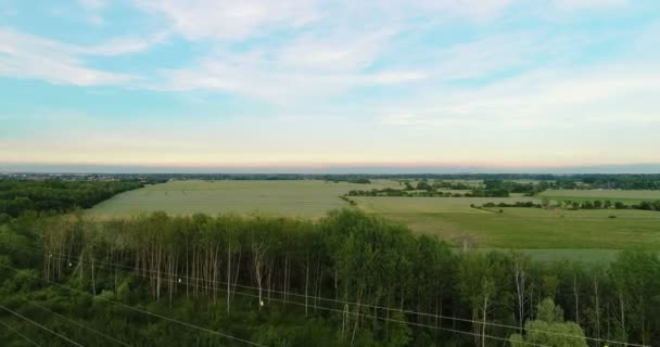 Вид с воздуха на лес — стоковое видео