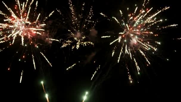 Exhibición de fuegos artificiales de Año Nuevo — Vídeos de Stock
