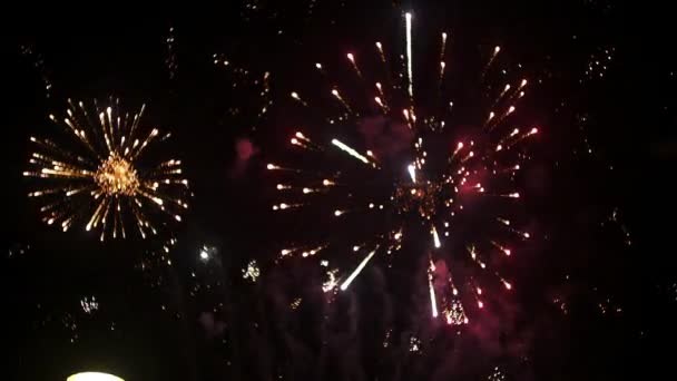 ดอกไม้ไฟในช่วงต้นปีใหม่ ในคืนที่มืดมน — วีดีโอสต็อก