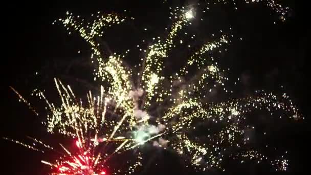 Kembang api di awal tahun baru. Dalam malam hitam — Stok Video