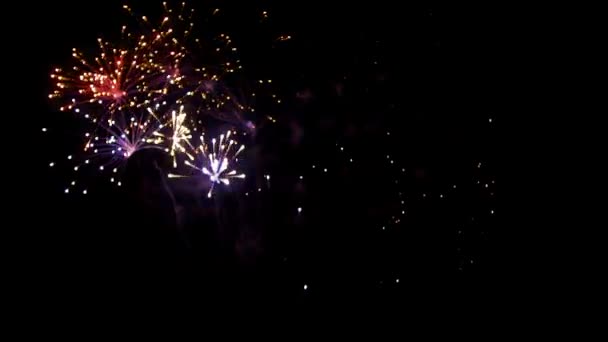 Nowy rok pokaz fajerwerków — Wideo stockowe