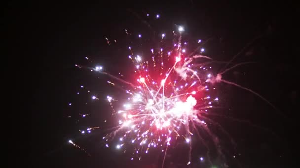 Fuochi d'artificio all'inizio del nuovo anno. In notte nera — Video Stock