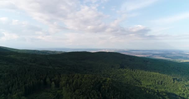 Aerialof belle forêt verte dans un paysage rural — Video
