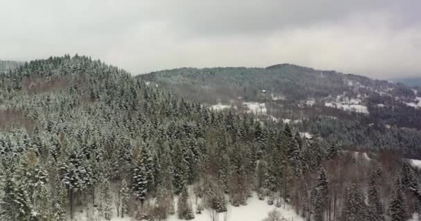 雪の空中風景に覆われた森。山の村の空中ビュー — ストック動画