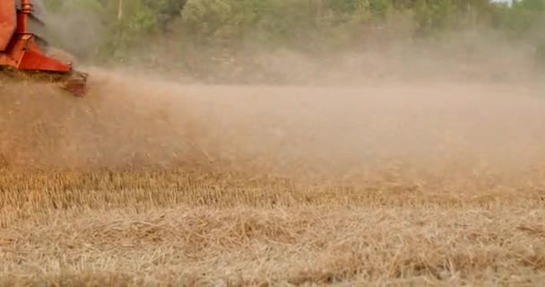 Colheitadeira colheitadeira campo de trigo agrícola — Vídeo de Stock