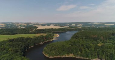 Göl ve Ormanın Havadan Görünümü