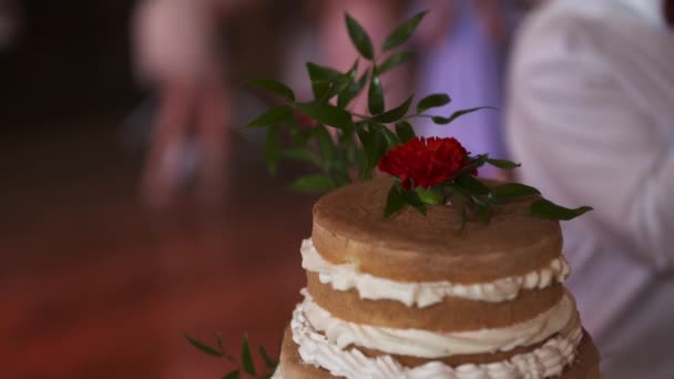 Piękne ujęcie tortu weselnego podczas wesela — Wideo stockowe