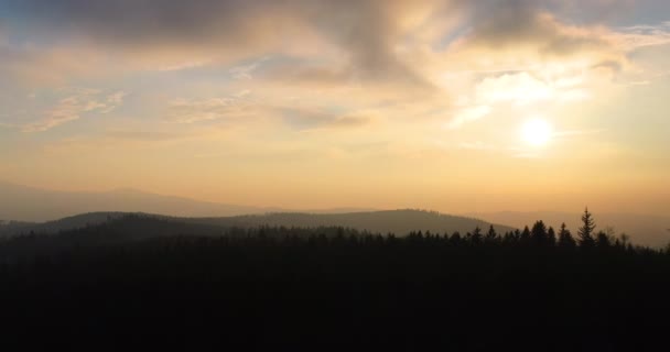 Вид з повітря на ліс і гори взимку — стокове відео
