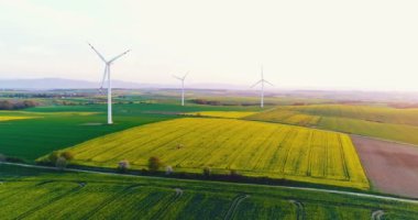 Dizüstü bilgisayarı olan bir iş kadını.