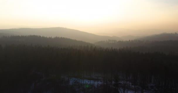 Вид з повітря на ліс і гори взимку — стокове відео