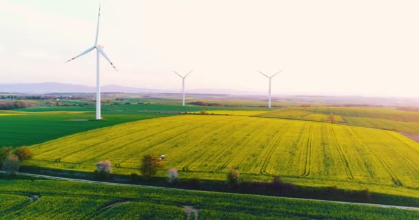 Wiev aéreo de moinhos de vento fazenda. Produção de energia elétrica — Vídeo de Stock