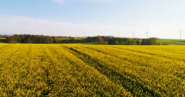 Enerji - Tarımsal alana karşı rüzgar türbinleri.