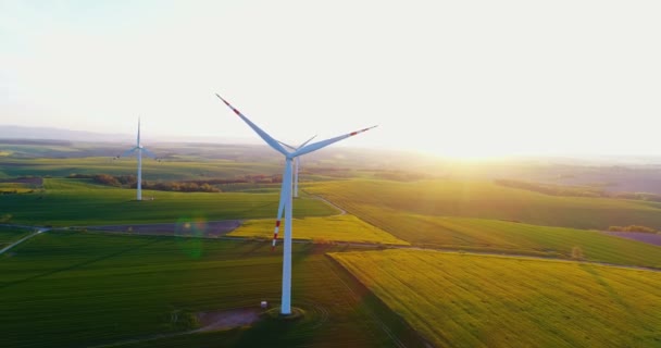 Wiev aéreo de moinhos de vento fazenda. Produção de energia elétrica — Vídeo de Stock