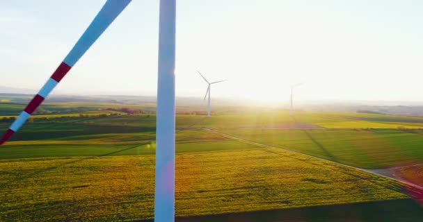 Eco Energy - Větrné mlýny. — Stock video