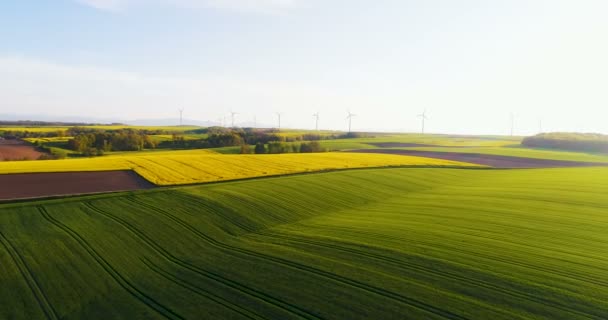 Luchtfoto van het zomerlandschap met windturbines en landbouwvelden. — Stockvideo