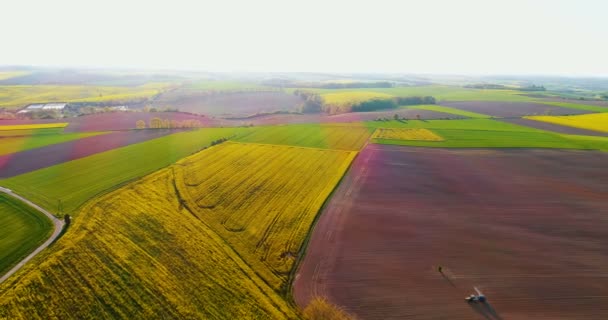 Producción de alimentos transgénicos. AGRICULTURA. — Vídeos de Stock