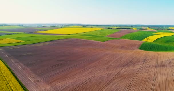 Pola o różnych typach rolnictwa 4K — Wideo stockowe
