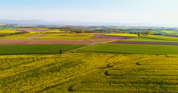 AGRICULTURA - Vedere aeriană asupra zonelor rurale de vară . — Videoclip de stoc